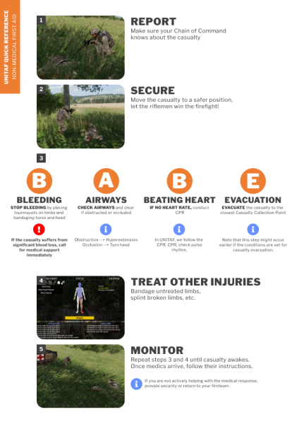 A quick reference sheet for buddy care