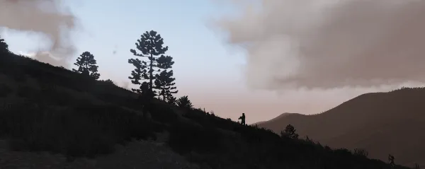 Photograph from Operation Fault Line (2018) XXVII - Twin Valleys