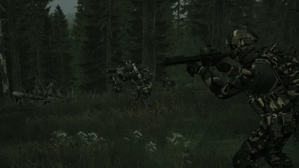 Photograph from Operation Vertex X - Day 9
