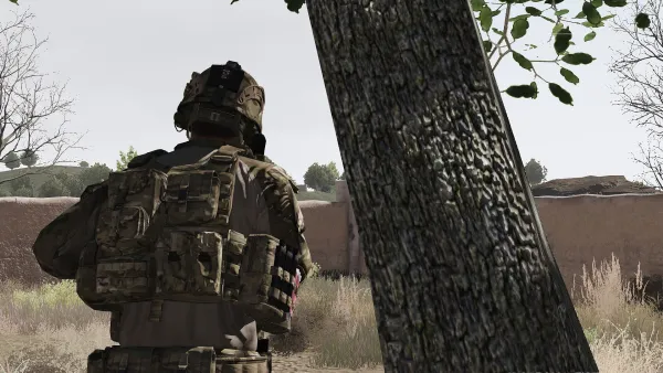 Photograph from Operation Brimstone (2014) LIV - Desert Dragoons