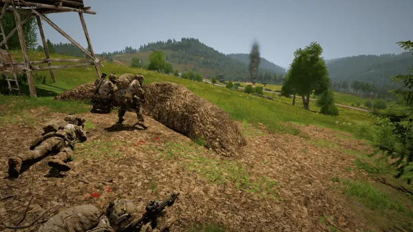 Photograph from Operation Lebra (2018) VIII - Golden Goose