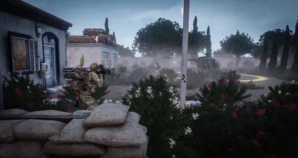 Photograph from Special Deployments VIII - Operation Golden Hound