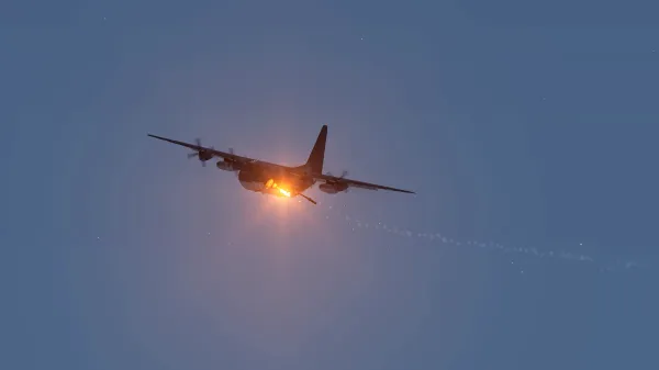 Photograph from Operation Lebra (2018) IX - Black Swan