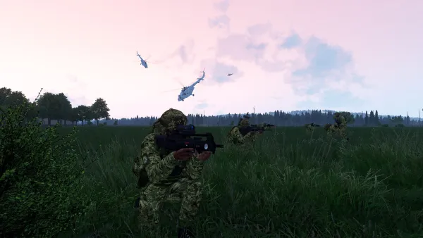 Photograph from Operation Valiant Guardian (2020) XLVII - Falco Araeus