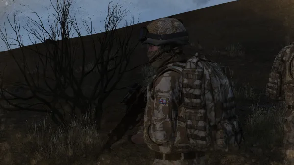 Photograph from Operation Enduring Freedom (2009) XVI - Keeping the Peace