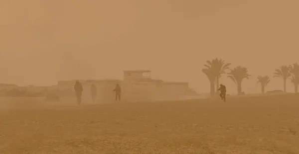 Photograph from Operation Honeybadger (2001) XXVIII - Battle of Basra (Part III)
