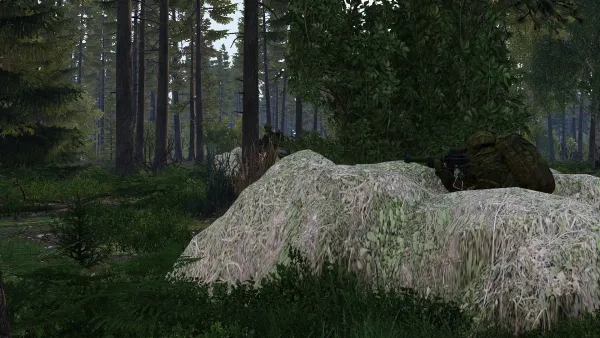 Photograph from Operation Eiche (2025) XX - Olympus