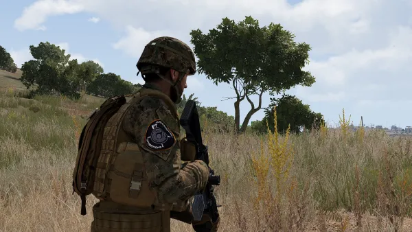 Photograph from Training Exercise 299 - T-0/I Marksmanship: Fundamentals, Squad Designated Marksman